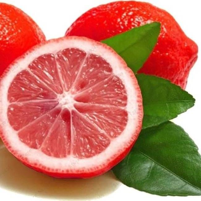Hybrid Red Pati Lemon Fruit Plant (Pack Of-1 )