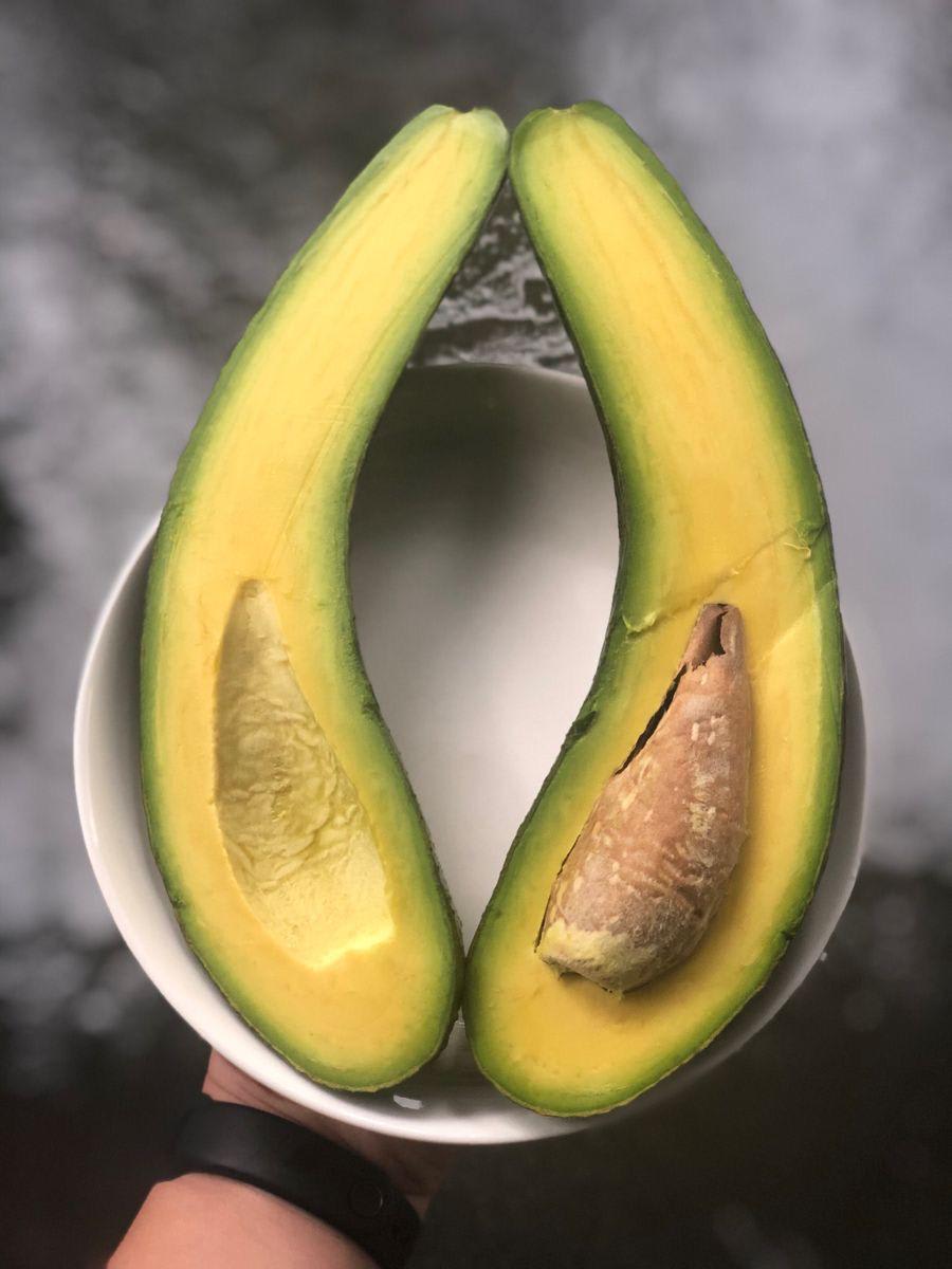 Hybrid Avocado 🥑🥑🥑 Grafting Plant (Pack Of-1)