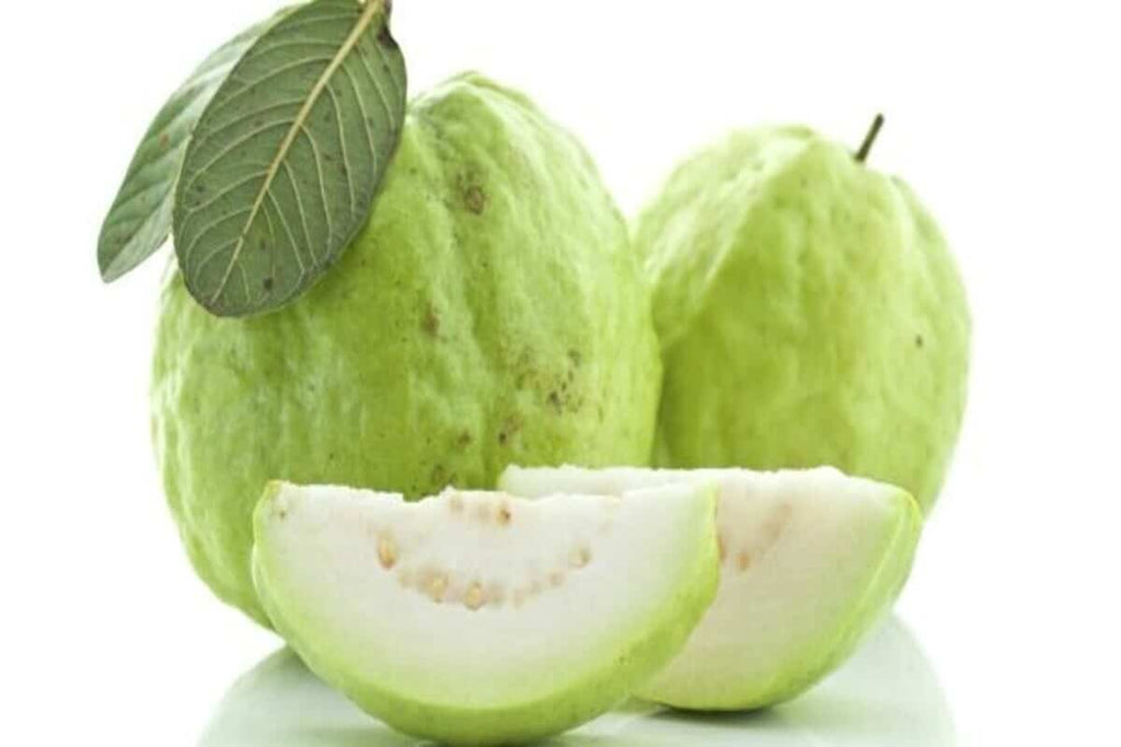 Bangladeshi Hybrid Guava Plant (Pack Of 1)