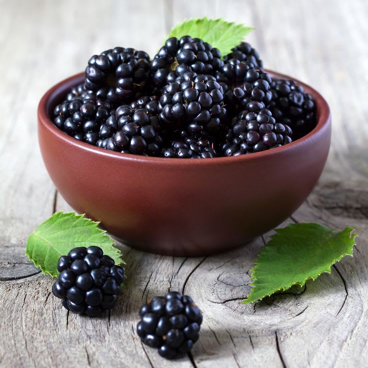 Blackberry Plant Hybrid Plant (Pack Of 1)