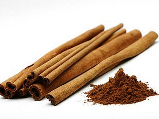 Cinnamon--Dalchini--Masala-Plant  (Pack Of 1)