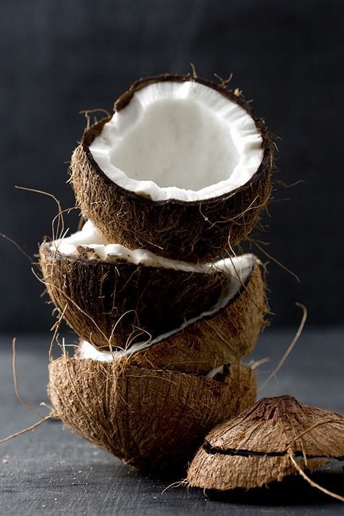 Hybrid Kerala Coconut Plant 🥥 (Pack Of 1)
