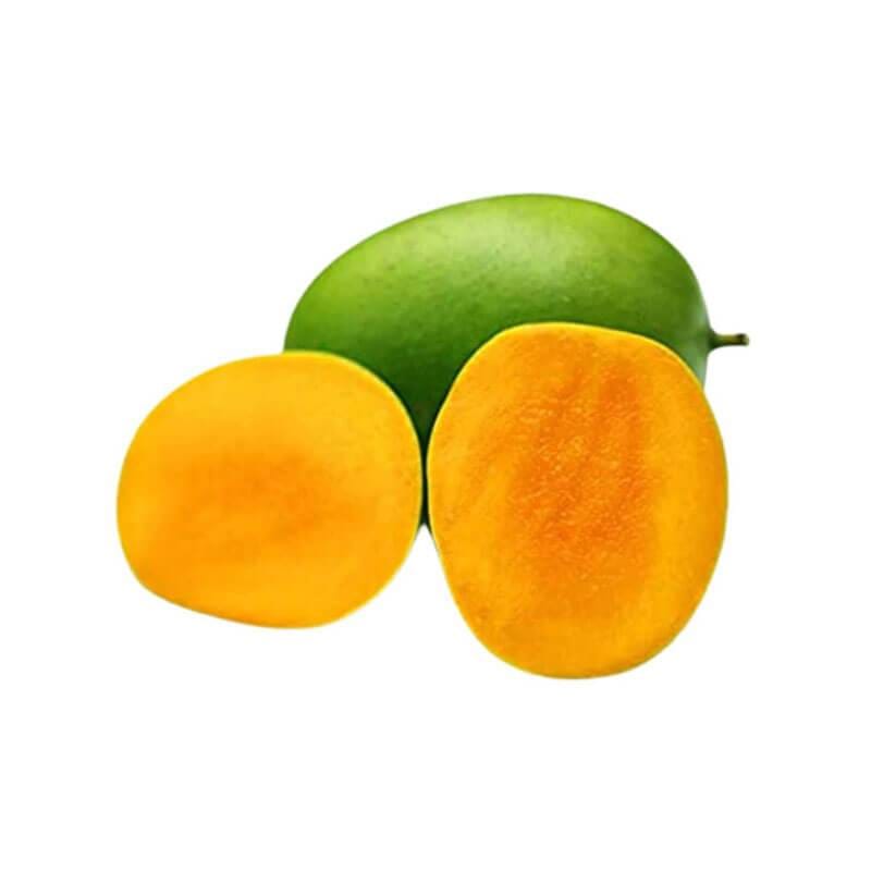 Hybrid Malda Mango 🥭🥭🥭 Grafting Fruit Live Plant (1.5-3 Feet Height Pack Of 1)