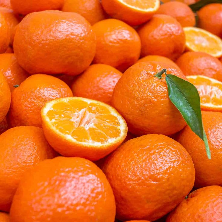 Hybrid Kinnow Orange  Grafting Fruit Plant 🍊🍊🍊(Pack Of 1)