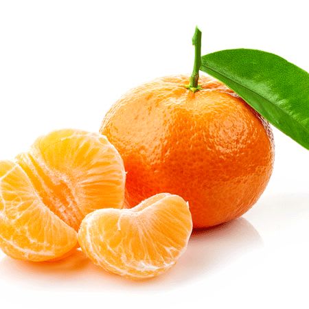 Hybrid Kinnow Orange  Grafting Fruit Plant 🍊🍊🍊(Pack Of 1)
