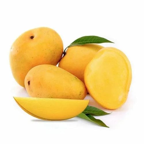 Baganpali Mango Fruit Plant (Hybrid & Grafting) Pack Of-1