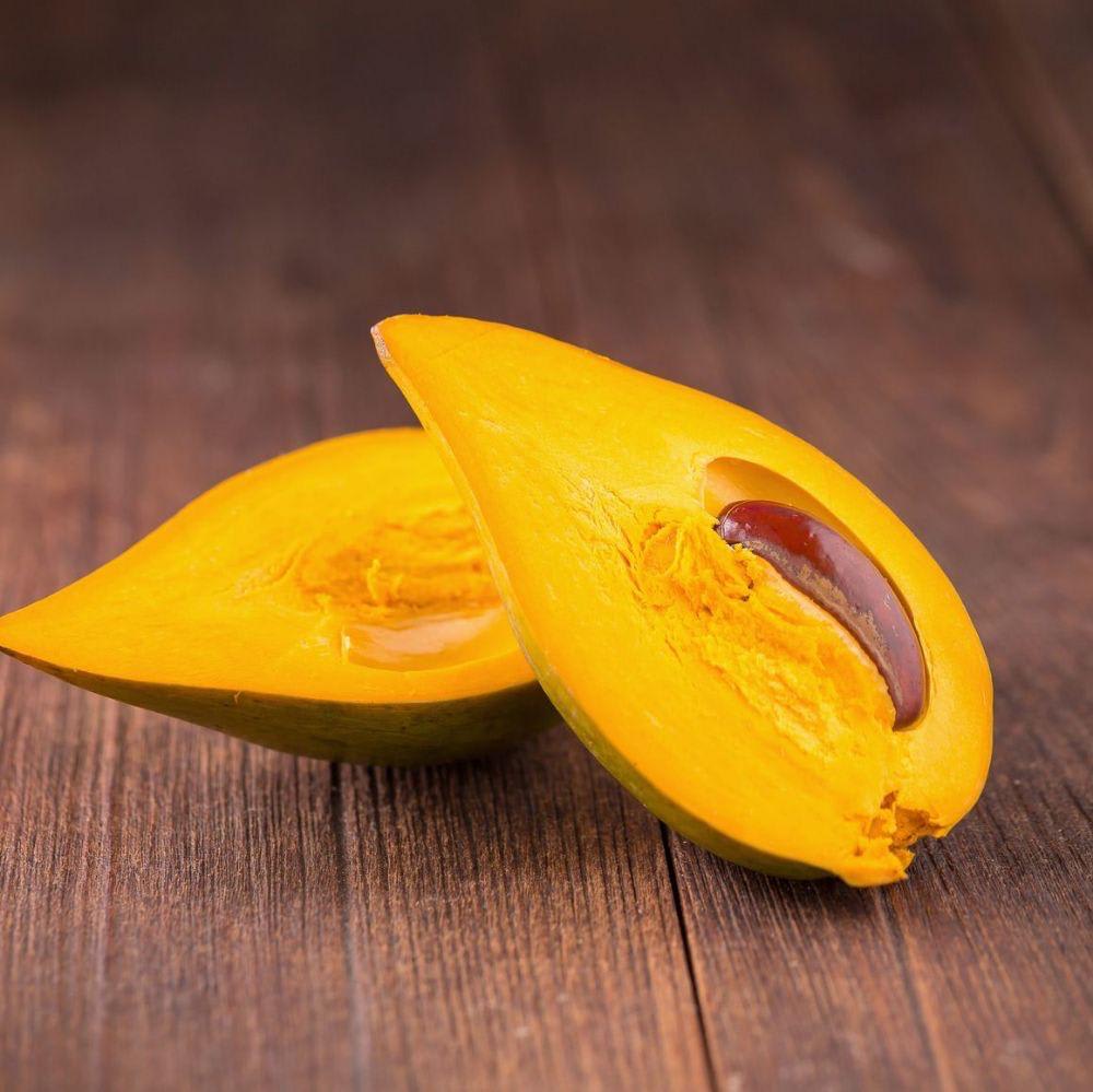 Egg Fruit Plant (Hybrid & Grafting) Pack Of-1