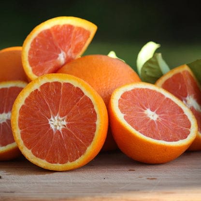 Hybrid Cara Cara Navel Orange Grafting Fruit Plant (Pack Of-1 )