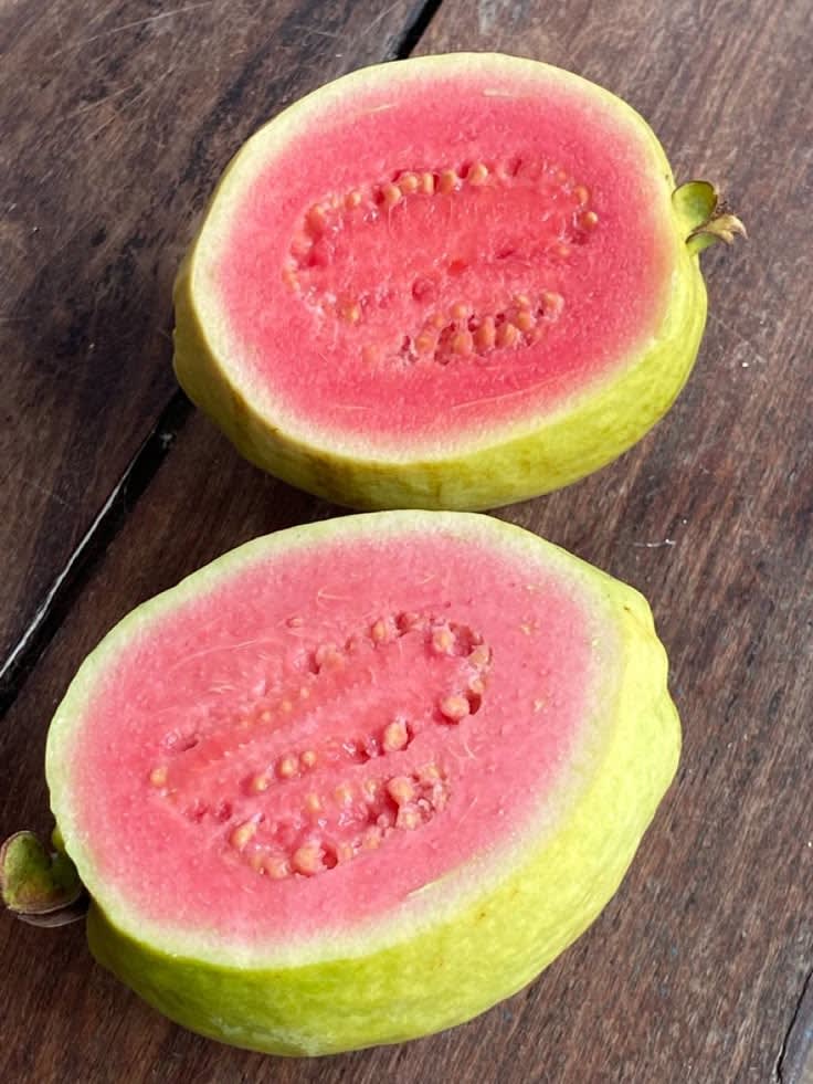 Pink Guava Plant (Pack Of 1)