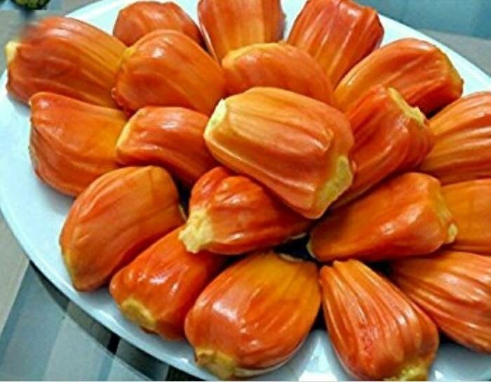 Red Jackfruit Grafting Plant (Pack Of 1)