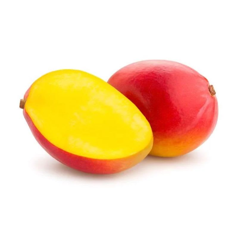 Thai American Red Palmer Mango 🥭🥭🥭 Grafting Fruit Live Plant (1.5-3 Feet Height Pack Of 1)