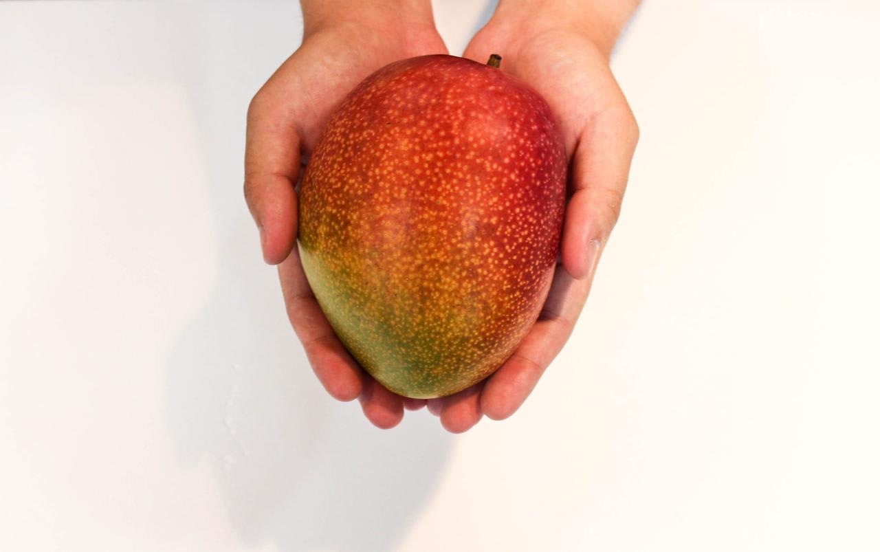 Thai Apple Mango🥭🥭🥭 Grafting Fruit Plant (1.5-3 Feet Height Pack Of -1)