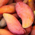 Thai Red Banana Mango🥭🥭🥭 Grafting Fruit Plant (1.5-3 Feet Height Pack Of 1)