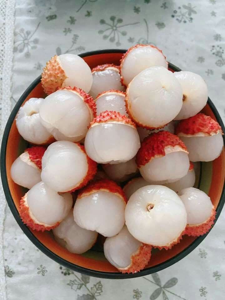 Hybrid Bombai Litchi Grafting Plant (Pack Of 1)