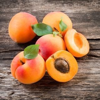 Apricot Fruit Plant (Hybrid & Grafting) Pack Of-1