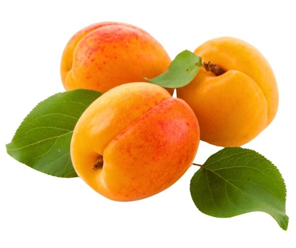 Apricot Fruit Plant (Hybrid & Grafting) Pack Of-1