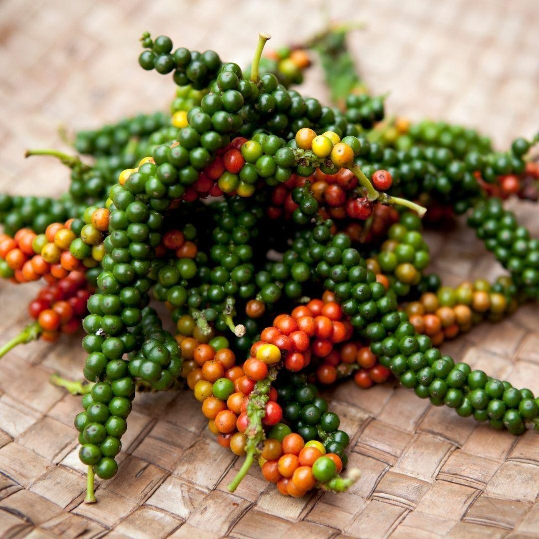 Hybrid Black Pepper Plant (Pack Of-1)