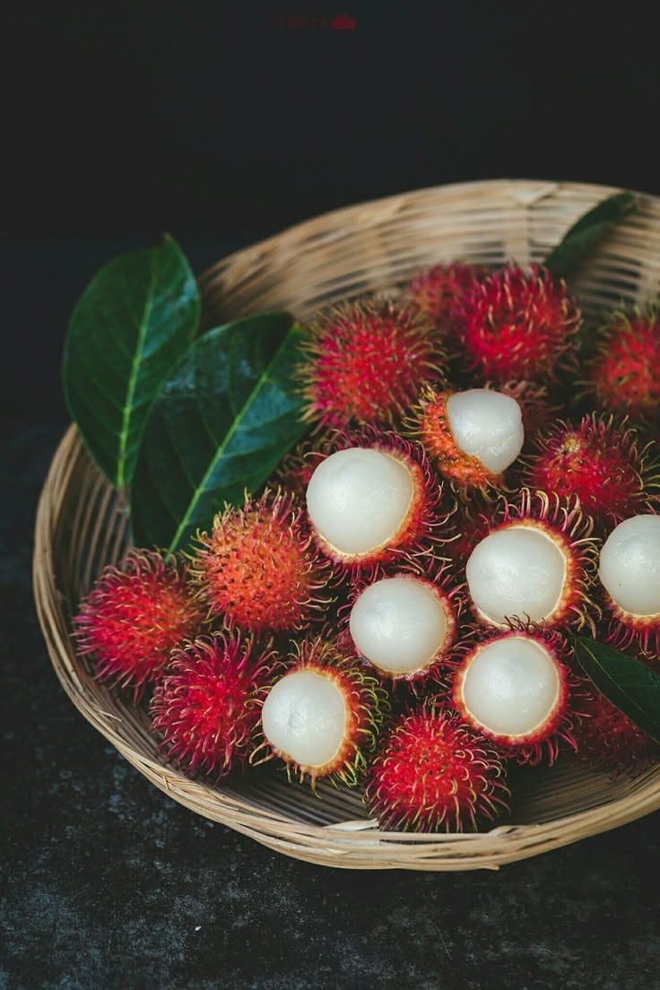 Hybrid Rambutan Grafting Fruit Plant (Pack Of-1)