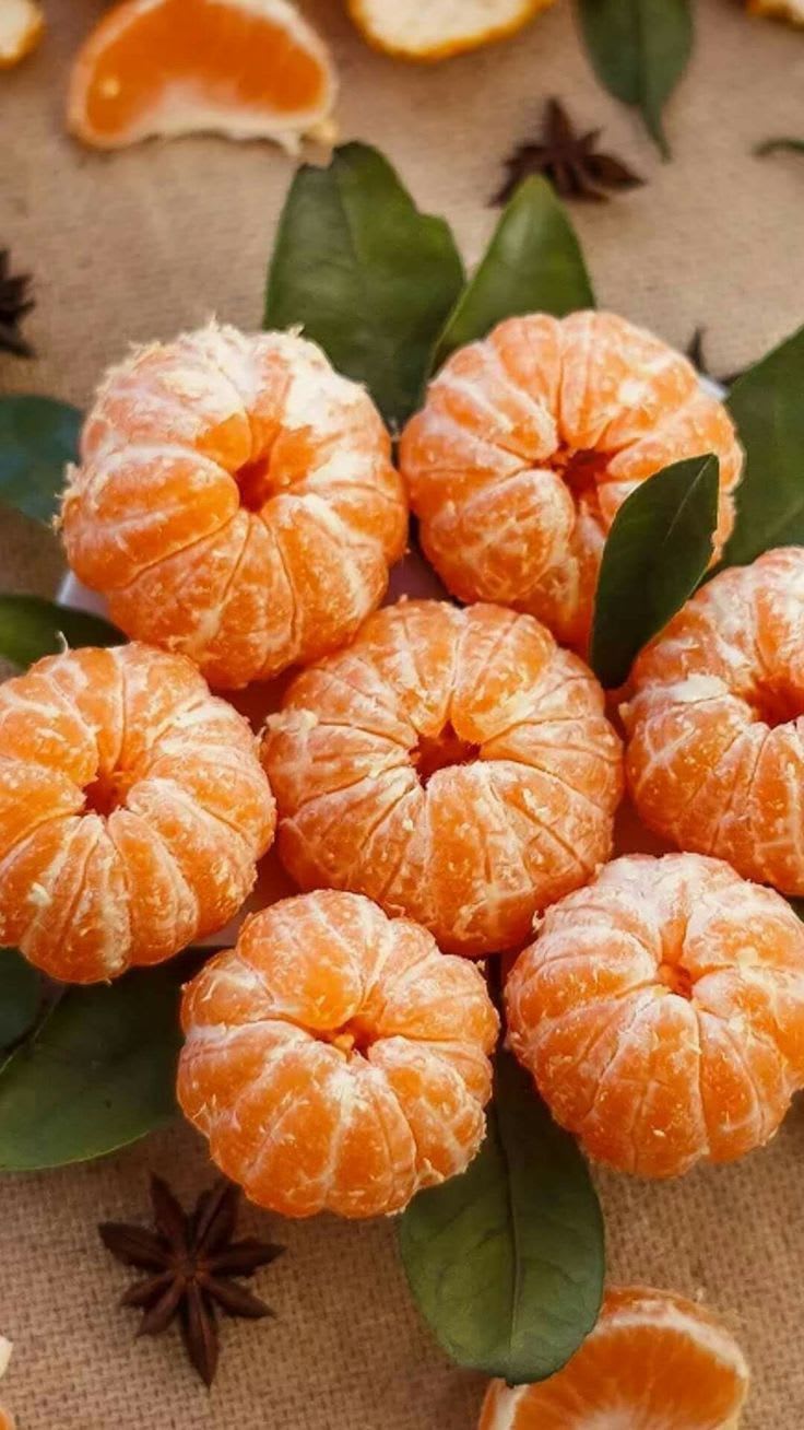 Hybrid Valencia Orange 🍊🍊🍊 Grafting Fruit Plant (Pack Of-1 )