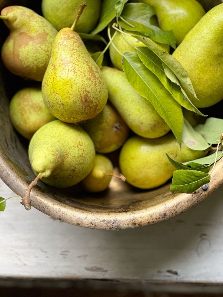 D’Anjou Pear Naspati Plant  (Pack Of 1)