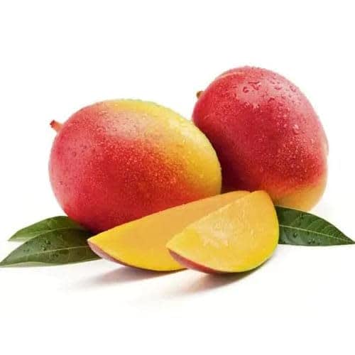 Gulab khas Mango Fruit Plant (Hybrid & Grafting) Pack Of-1