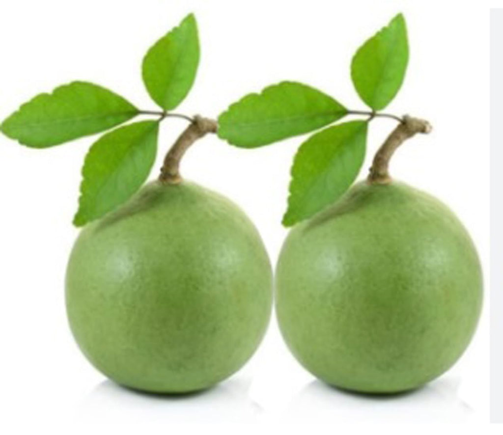 Hybrid Seedless Bel Fruit Plant (Pack Of-1 )