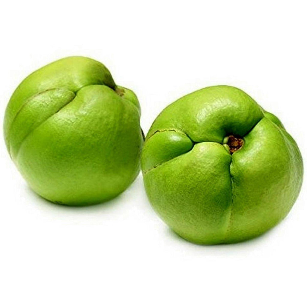Hybrid Elephant Apple Fruit Plant (Pack Of-1 )